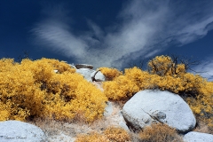 Anza-Borrego Desert, San Diego, California