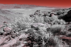 Anza-Borrego Desert, San Diego, California