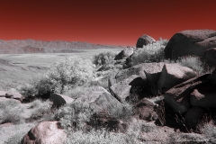 Anza-Borrego Desert, San Diego, California