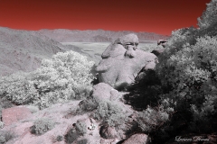 Anza-Borrego Desert, San Diego, California