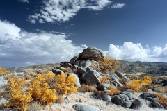 Anza-Borrego Desert, San Diego, California
