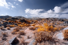 Anza-Borrego Desert, San Diego, California