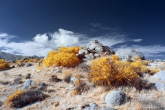 Anza-Borrego Desert, San Diego, California