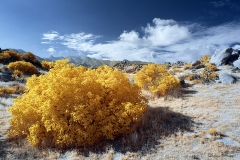 Anza-Borrego Desert, San Diego, California