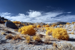 Anza-Borrego Desert, San Diego, California