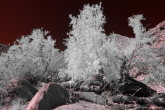 Anza-Borrego Desert, San Diego, California