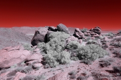 Anza-Borrego Desert, San Diego, California