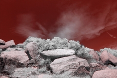 Anza-Borrego Desert, San Diego, California