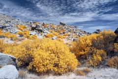 Anza-Borrego Desert, San Diego, California