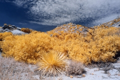 Anza-Borrego Desert, San Diego, California