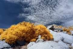 Anza-Borrego Desert, San Diego, California