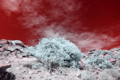 INFRARED_ANZA_BORREGO_SEPT_4_2017 (70)_FINAL_08