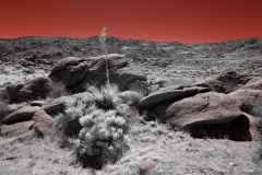 Anza-Borrego Desert, San Diego, California