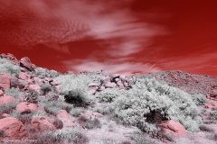 Anza-Borrego Desert, San Diego, California