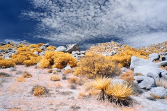 Anza-Borrego Desert, San Diego, California