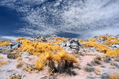 Anza-Borrego Desert, San Diego, California