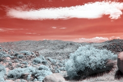 Anza-Borrego Desert, San Diego, California