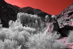 Anza-Borrego Desert, San Diego, California