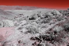 Anza-Borrego Desert, San Diego, California