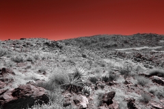 Anza-Borrego Desert, San Diego, California