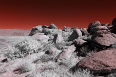 Anza-Borrego Desert, San Diego, California