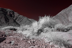 Anza-Borrego Desert, San Diego, California