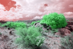 Anza-Borrego Desert, San Diego, California