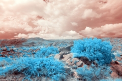 Anza-Borrego Desert, San Diego, California