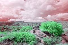 Anza-Borrego Desert, San Diego, California