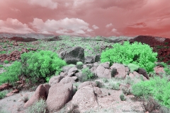 Anza-Borrego Desert, San Diego, California