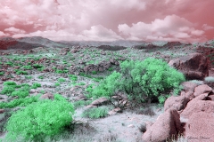 Anza-Borrego Desert, San Diego, California