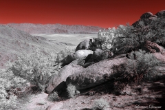 Anza-Borrego Desert, San Diego, California