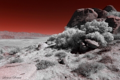 Anza-Borrego Desert, San Diego, California