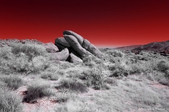 Anza-Borrego Desert, San Diego, California