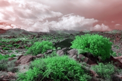 Anza-Borrego Desert, San Diego, California