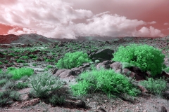 Anza-Borrego Desert, San Diego, California