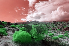 Anza-Borrego Desert, San Diego, California