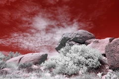 Anza-Borrego Desert, San Diego, California