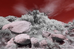 Anza-Borrego Desert, San Diego, California