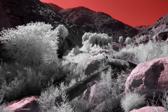 Anza-Borrego Desert, San Diego, California