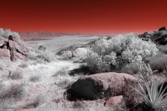 Anza-Borrego Desert, San Diego, California