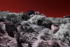 Anza-Borrego Desert, San Diego, California