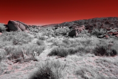Anza-Borrego Desert, San Diego, California