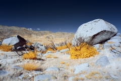 Anza-Borrego Desert, San Diego, California