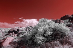 Anza-Borrego Desert, San Diego, California