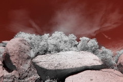 Anza-Borrego Desert, San Diego, California