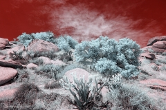 Anza-Borrego Desert, San Diego, California