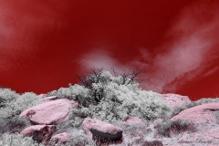 Anza-Borrego Desert, San Diego, California