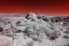 Anza-Borrego Desert, San Diego, California