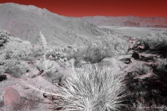Anza-Borrego Desert, San Diego, California